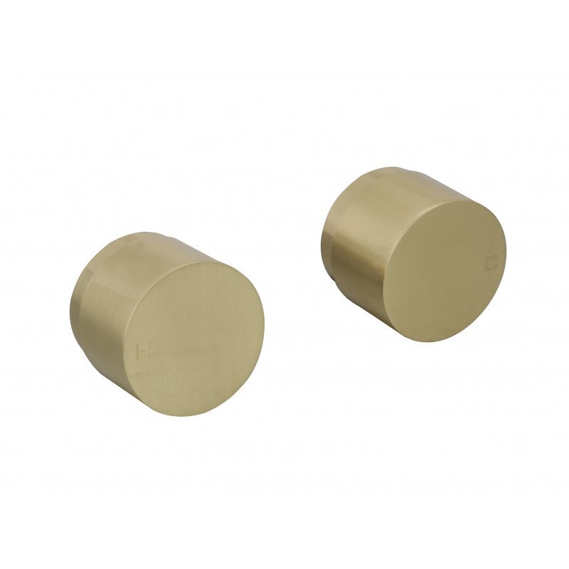 Tania 1/4 Turn Wall Top Assembles – Brushed Gold