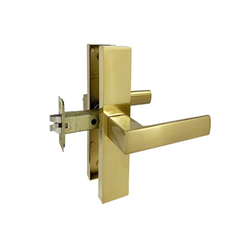 Brushed Gold Finish Passage Handle Set  – Eva Series