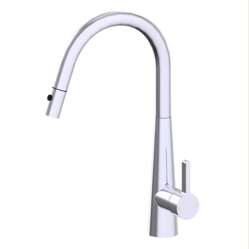 Palm Pull Out Kitchen Sink Mixer – Chrome