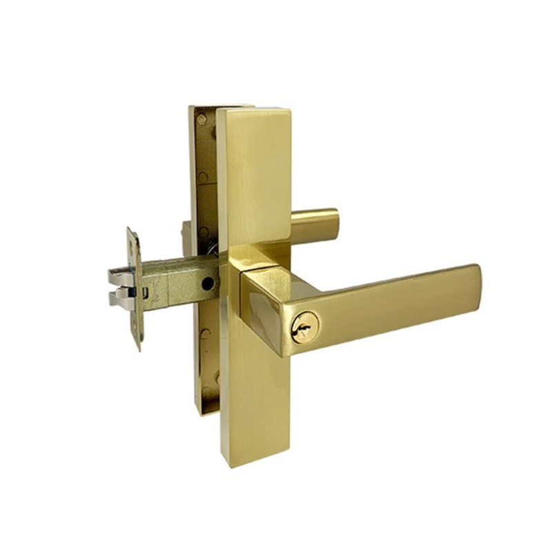 Brushed Gold Finish Entrance Lock Set  – Eva Series