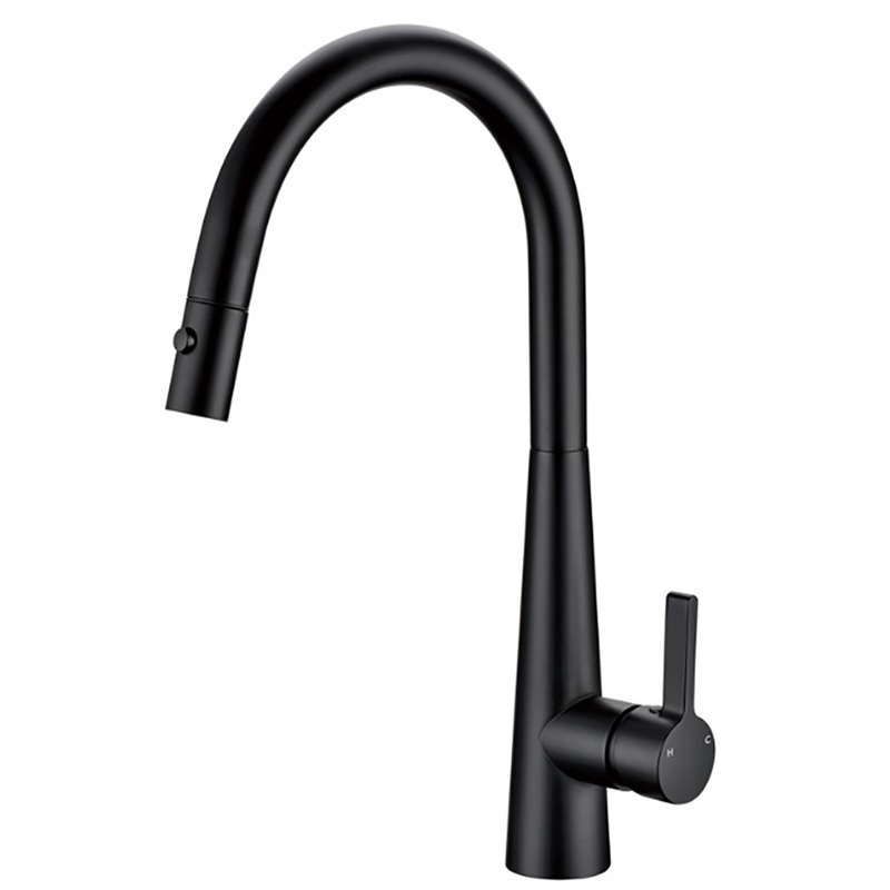 Coral II Pull Out Kitchen Sink Mixer – Matt Black