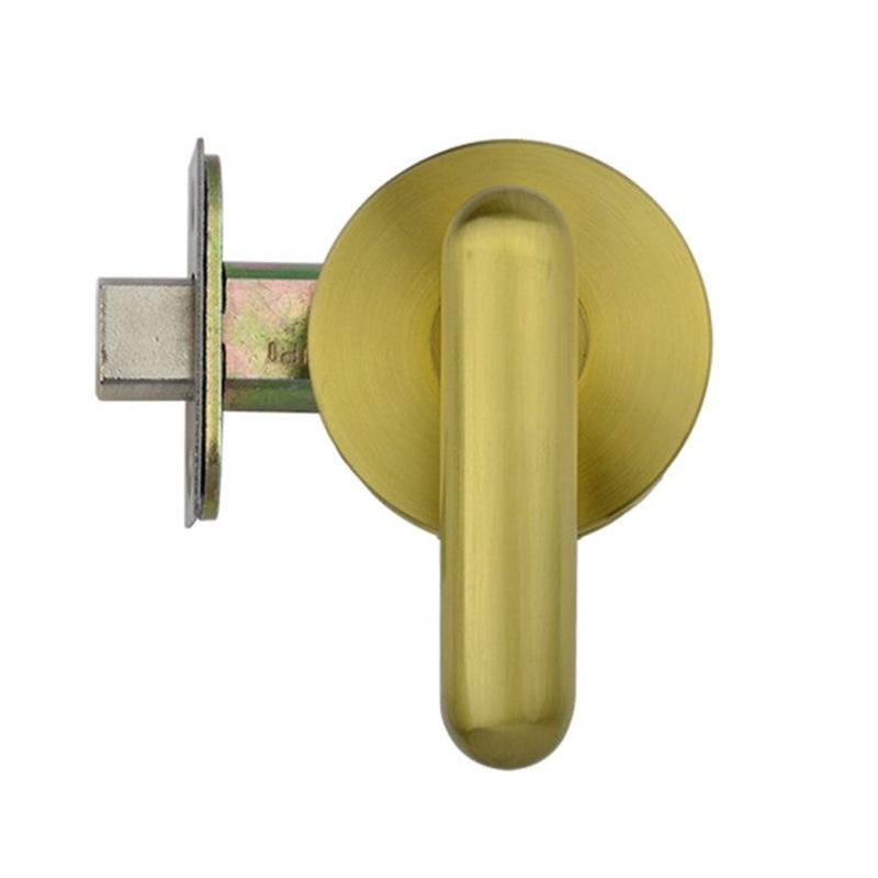 Brushed Gold Concealed Privacy Set – Bates Series